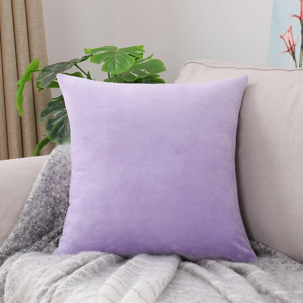 Lavender purple