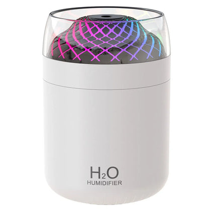 Humidifier: 500ml USB Air Humidifier with Night Light & Timer