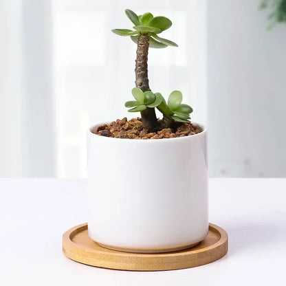 Wood Tray: Bamboo Tray Coaster Multi-Use Wood Saucer & Cup Mat