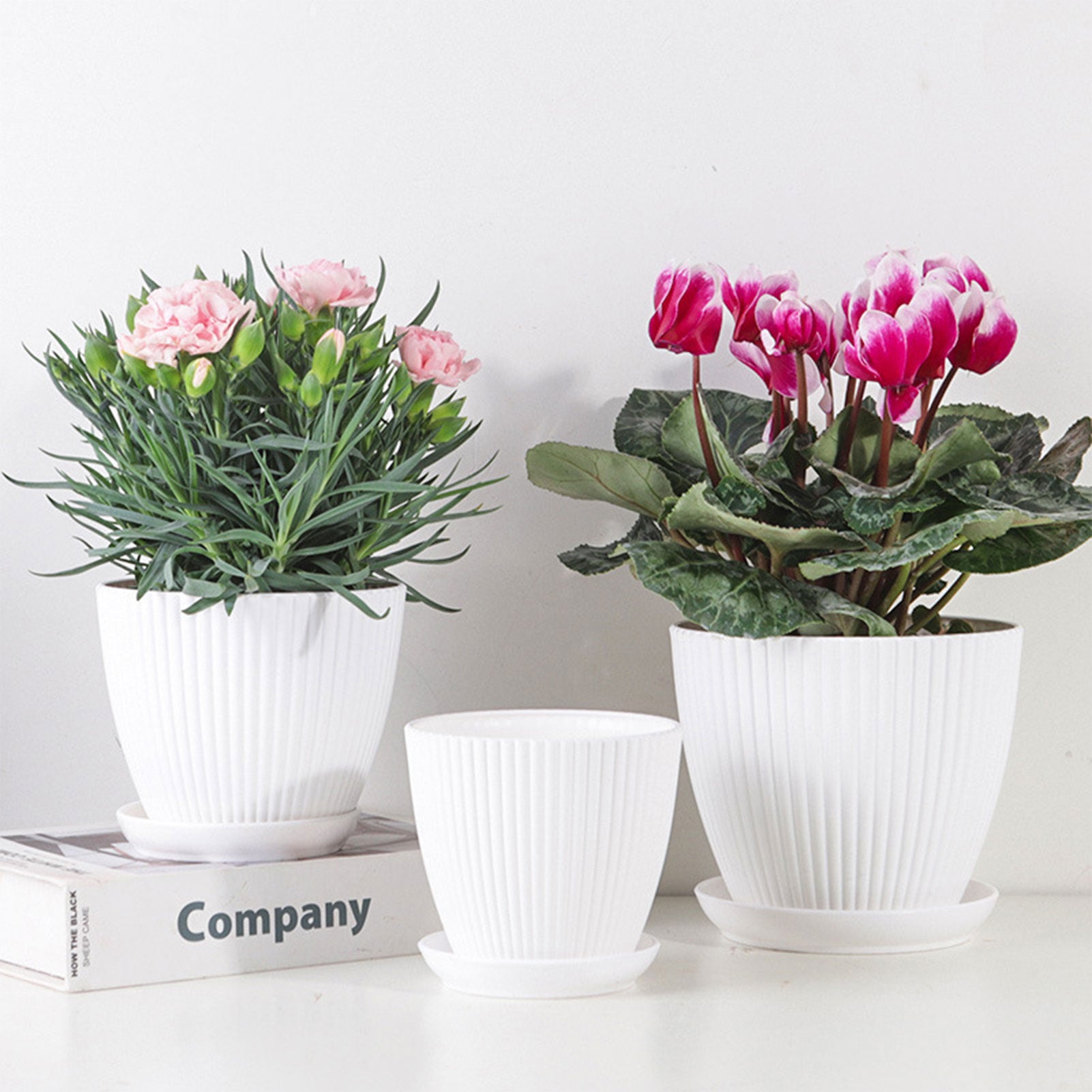 Green Dill Plastic Flower Pot - Double Layer with Tray