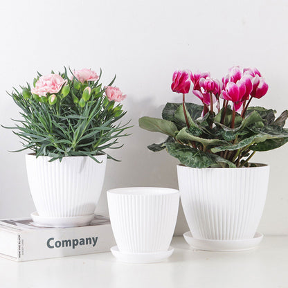 Green Dill Plastic Flower Pot - Double Layer with Tray